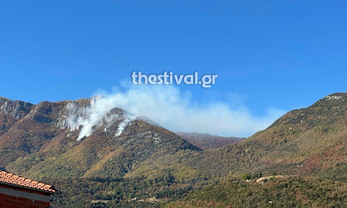 Φωτιά στο Παγγαίο Όρος Ελεγχόμενη Η Κατάσταση Είναι Υπό Ελέγχο